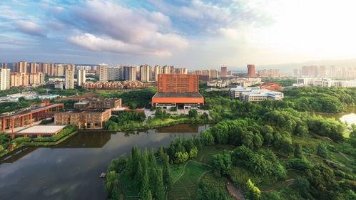 重庆大学城头条号,聚焦创新活力，共筑青春梦想