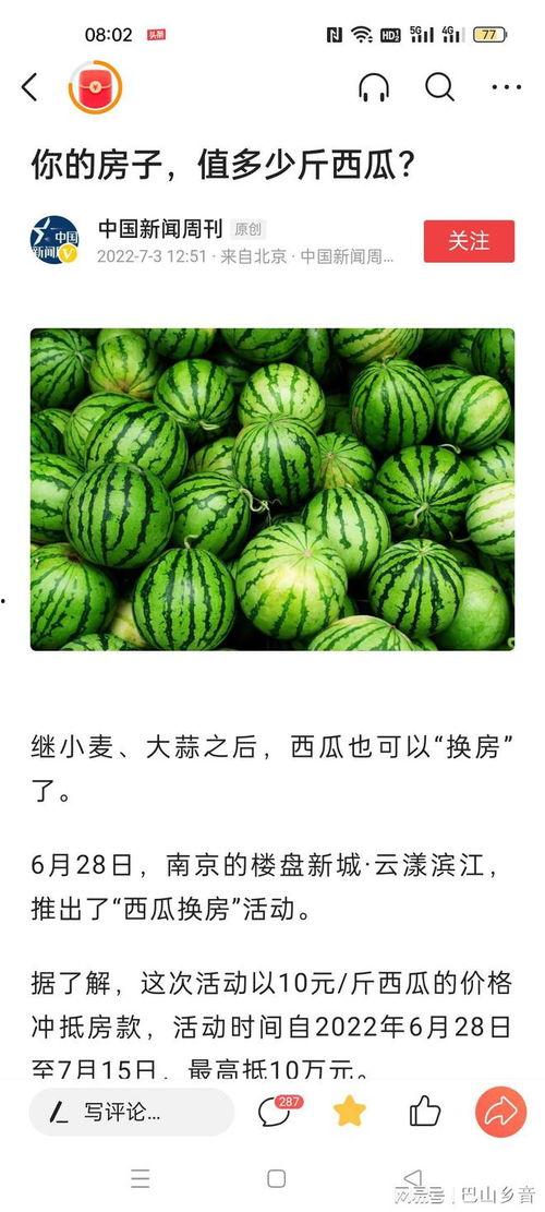 南京吃瓜新闻,揭秘城市热点背后的故事