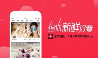 头条上如何修改视频名称,头条视频名称修改技巧，让你的视频更吸睛