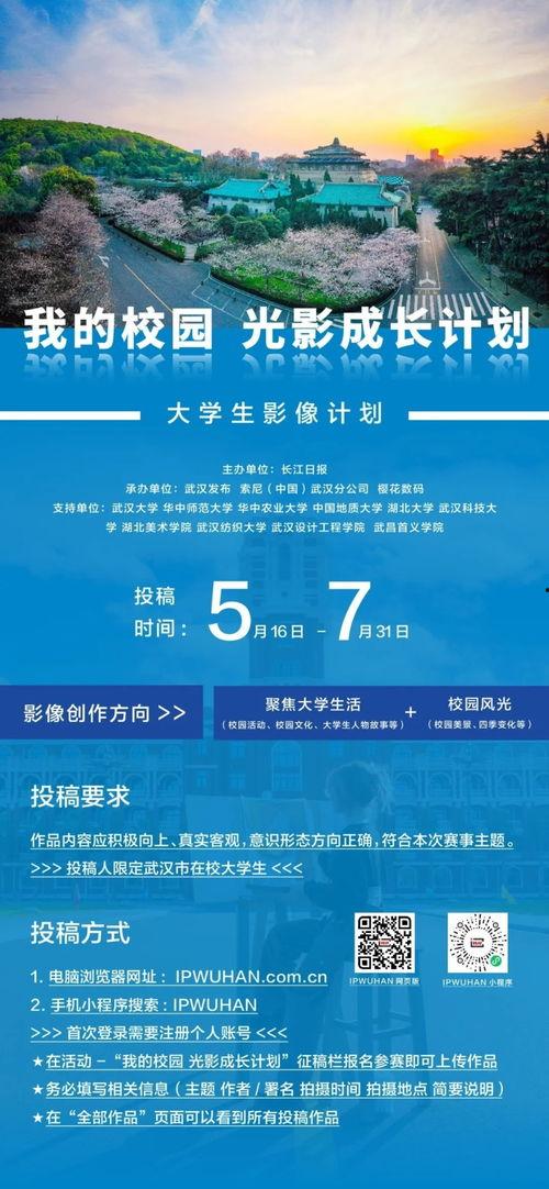 手机摄影小分队头条,捕捉生活中的美好瞬间
