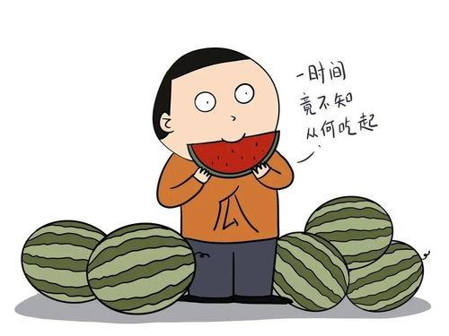 带你吃瓜英语视频,带你领略“带你吃瓜”英语视频的魅力