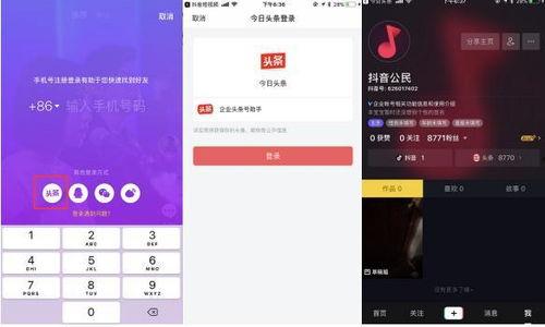 抖音头条号官网,探索短视频营销新天地