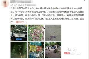 湘潭市红网实名举报,湘潭市红网实名举报引发社会关注
