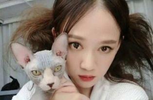 头条明星送宠物是真的吗,真相揭秘，是炒作还是真心？