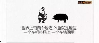 娱乐爆料搞笑文案,笑料百出！娱乐圈爆料搞笑文案大盘点