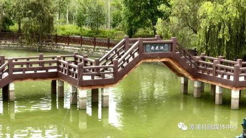 漳浦新闻头条东坂社区,聚焦漳浦新闻头条，共话社区发展新篇章