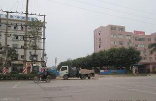 新闻头条罗定市疫情,多举措应对，全力保障市民健康安全