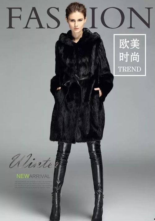 貂皮明星,时尚界的奢华宠儿