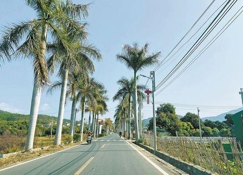 惠州新圩镇网红打卡地,探寻网红打卡地的魅力时光