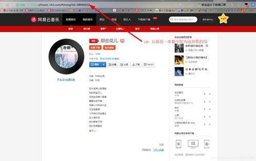 头条音乐领域怎么加粉丝,解锁粉丝增长秘籍，打造人气音乐账号
