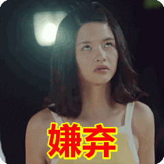 明星迷路哥,探寻偶像的迷失与成长之旅