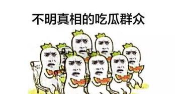 成为吃瓜观众的条件,轻松围观娱乐圈风云变幻
