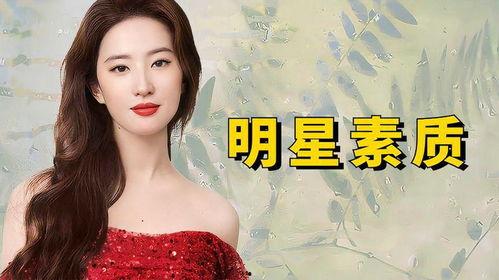 素养明星,引领时代风尚的璀璨之星