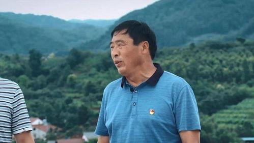 明星醉美桑海视频