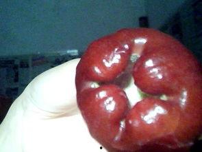 孕早期吃神马瓜好吗,孕早期食用神马瓜的益处与注意事项