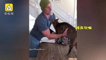 快手网红周二磊视频,揭秘网红背后的生活与梦想