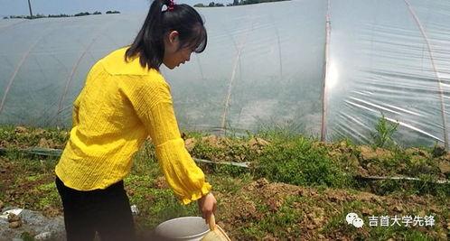 吃瓜路人的感慨,吃瓜路人的感慨与笑谈