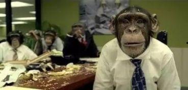 西雅图网红程序员