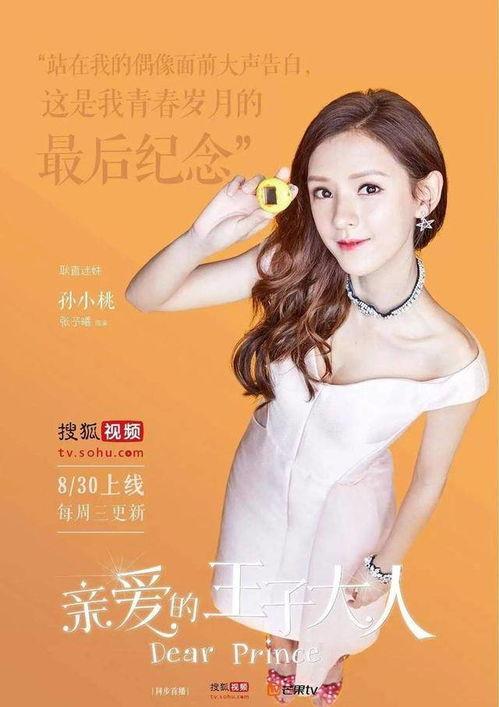 网红转型路漫漫免费阅读,漫漫征途中的挑战与机遇