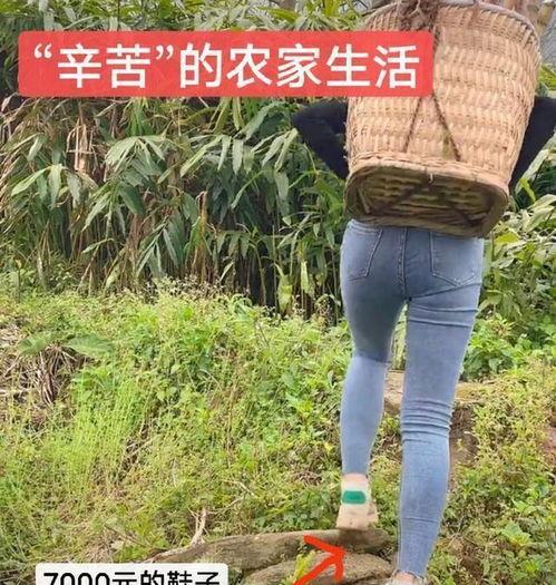 勤劳的女网红有哪些,她们如何用汗水铸就网络辉煌