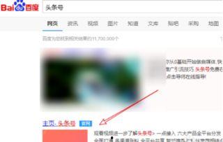 头条小店现状,电商新势力崛起，现状解析与未来展望