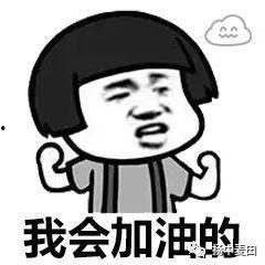 暴走的网红意思,网络时代的狂欢与反思