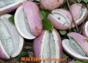 湖北恩施吃瓜新闻最新