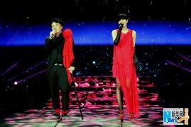 龙年卢姓明星名字,卢姓明星的璀璨时刻