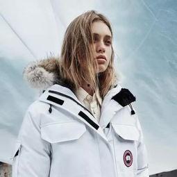 canada goose 明星,明星们的时尚宠儿，冬季保暖新潮流
