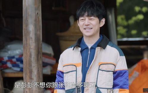 何炅吃瓜合集,笑料百出，揭秘娱乐圈幕后故事