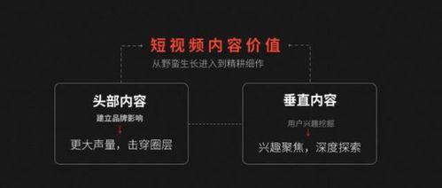 今日头条营销矩阵,解锁高效内容营销新策略