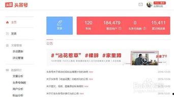 头条号改名发文有影响吗,副标题：头条号更名后，内容传播与粉丝互动的微妙变化解析